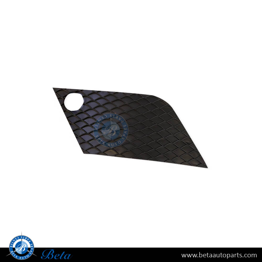 Left Side Front Bumper Lower Grille Normal AMG for Mercedes ML-Class W166 2012-2014 models, Part Number 1668851722 Left Side Front Bumper Lower Grille Normal AMG for Mercedes ML-Class W166 2012-2014 models, Part Number 1668851722